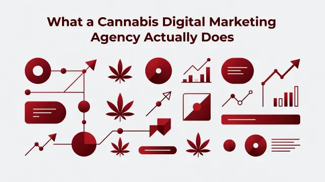 Professional header image for industry analysis: What a Cannabis Digital Marketing Agency Actually Does