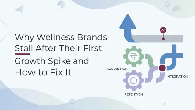 Professional header image for industry analysis: Why Wellness Brands Stall After Their First Growth Spike ...